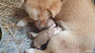 위천수변테마공원에 새식구가 생겼어요~