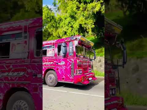 චූටි දෝණී Pink Queen❤️💐සෑම විටම ඔබේ ජයග්‍රහණ වල ලොකුම රසිකයා ඔබම වෙන්න!! #trending