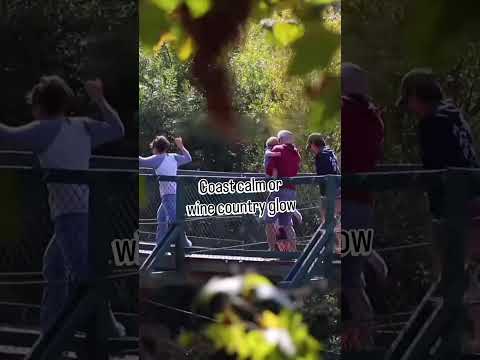 Moving to San Luis Obispo County? Arroyo Grande vs Paso Robles Explained