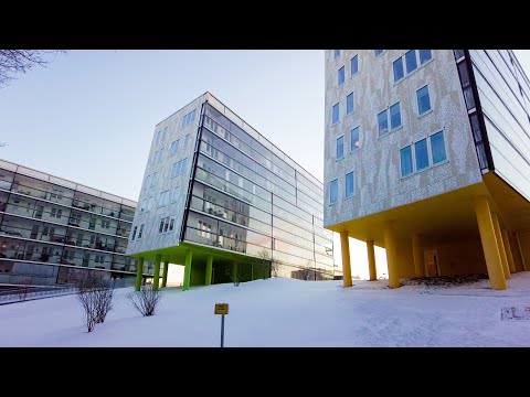 Uppsala, Sweden Exploring The City - Snowy Walking Tour