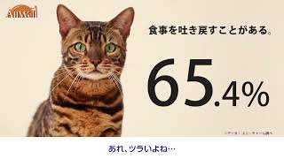食事の吐き戻し軽減フード | AllWell（オールウェル）猫ちゃん主語動画篇