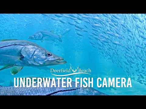 Deerfield Beach - Beach live cam