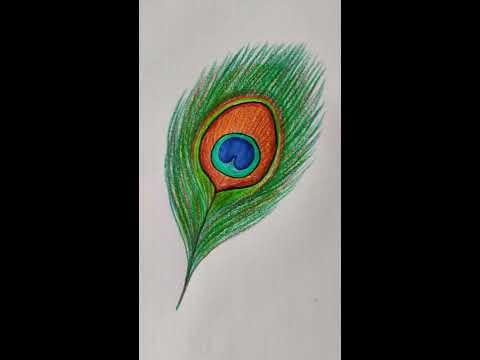 easy draw beautiful mor Pankh