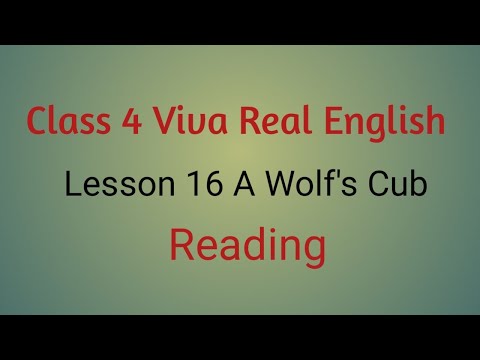 Class 4 Viva Real English Lesson 16 A Wolf's Cub   Reading