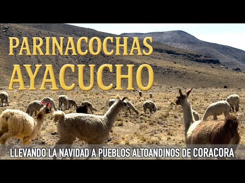 Viaje por los andes hasta Coracora las heladas alturas de Parinacochas en Ayacucho