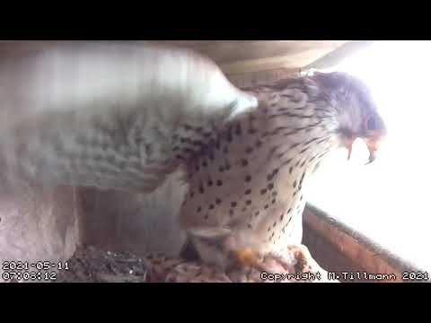 May 11th, 2021, 0707