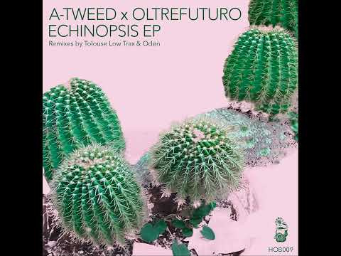 PREMIERE: A-Tweed X Oltrefuturo - Echinopsis (Tolouse Low Trax Remix)[HOB009]