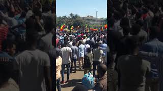Bahirdar raya and wolqait revolution