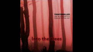 Trentemøller - Into the trees (Live in concert EP)