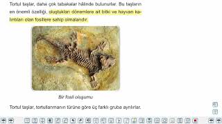 Eğitim Vadisi 10.Sınıf Coğrafya 3.Föy Kayaçlar 1 Konu Anlatım Videoları