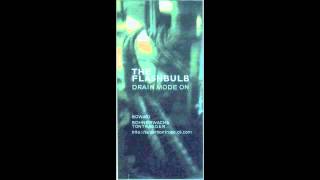 The Flashbulb- Stinger