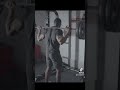 A day without squat is not a day!☠️