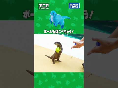 ボールもはこべちゃう！　#アニア #アニア研究所 #タカラトミー #shorts #アドベンチャーワールド