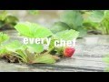 Oliver Kay Fresh Produce | Defined by Nature 
