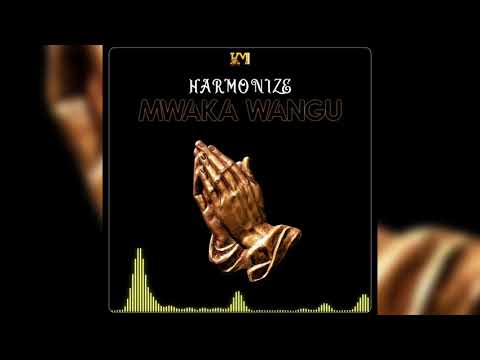 Harmonize - Mwaka Wangu (Official Audio)