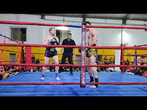 pelea pro de tiburón roa evento de valientes del sur