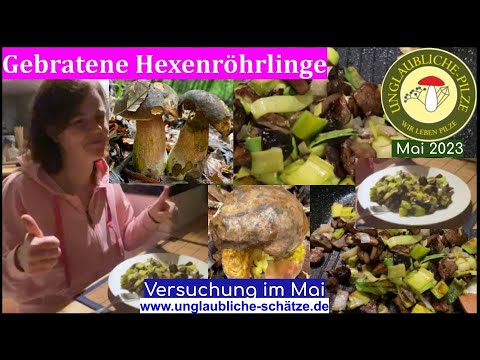 Fried boletus mushrooms with leeks - a tempting treat in the mushroom spring - mushroom picking i...