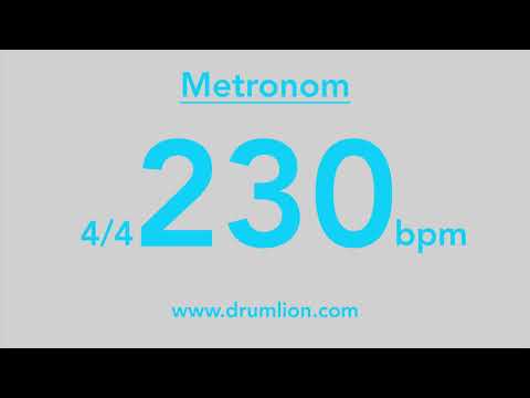 230 bpm - 4/4 | DRUMLION