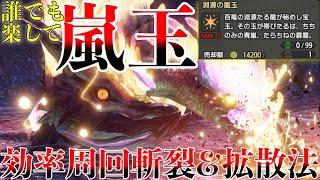 【効率周回】PS不要！誰でも10分で真ラスボスの嵐玉を超効率周回する方法！拡散ヘビィと斬裂速射の両刀がPS要らずで最高率！【MHRise】 第793話