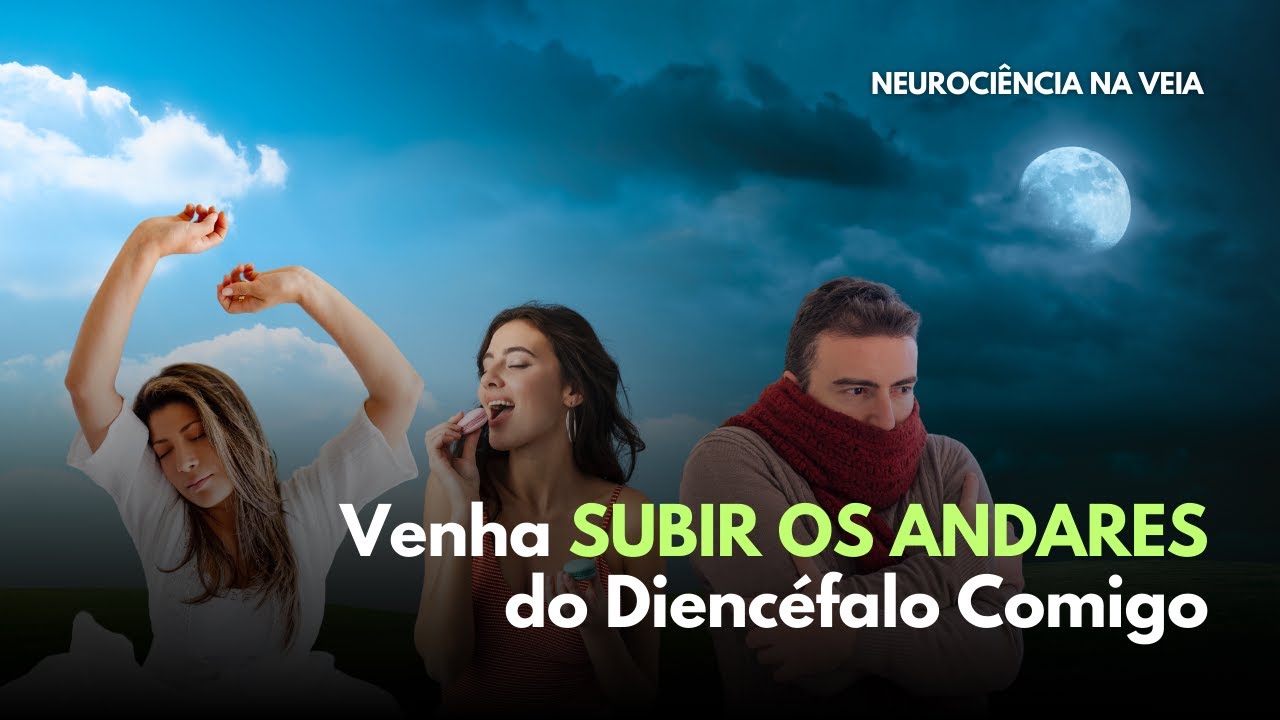 Carla Tieppo | Série Neuroanatomia: diencéfalo