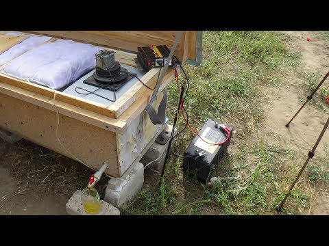 Эволюция в пчеловодстве бесконтактная откачка мёда