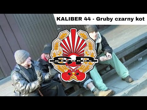 Video thumbnail for Gruby czarny kot on przebiegł nam drogę, a chuj mu w dupę nawet w 13 piątek