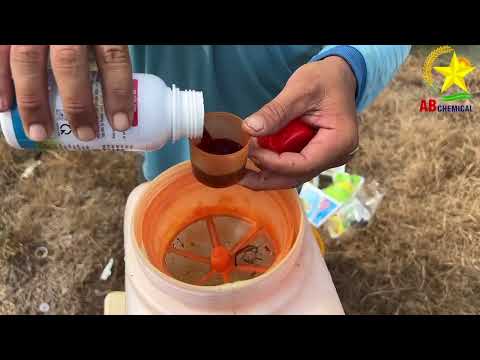 BỘ GIẢI PHÁP HIỆU QUẢ BẢO VỆ TOÀN DIỆN CÂY LÚA