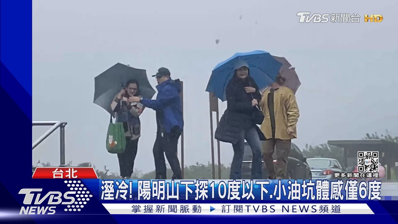 溼冷!陽明山下探10度以下、小油坑體感僅6度