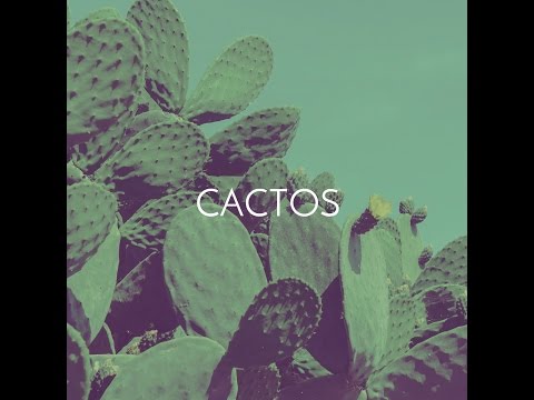 Geenuino, o PAI - Cactos pt Alt Niss [prod PAI] (Audio)