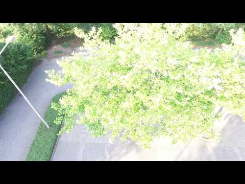 Baalderveld Hardenberg '85