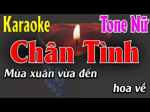 Chân Tình - Karaoke Tone Nữ - Karaoke Lâm Organ - Cha cha cha