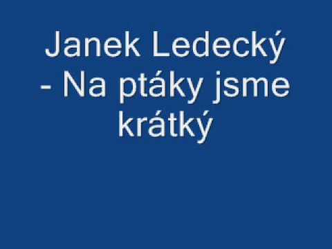 Janek Ledecký - Na ptáky jsme krátký