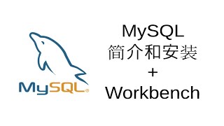MySQL安装和使用 + MySQL Workbench【关系数据库SQL教程6】