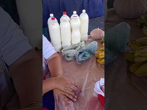 Feira de Tuparetama, Pernambuco.🧑‍🌾🧑‍🌾#vidanaroça #agricultura #nordeste #criadordeconteudo