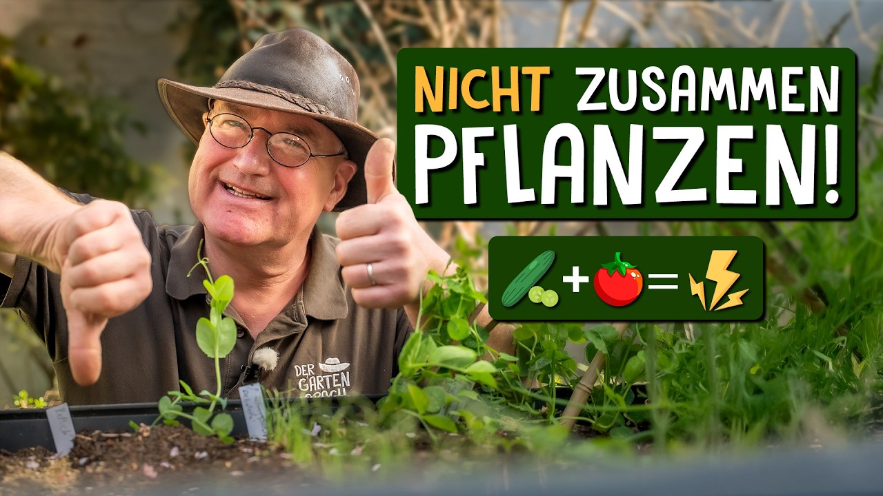 Mischkultur und Fruchtfolge im Gemüseanbau – So kombinierst du Pflanzen richtig