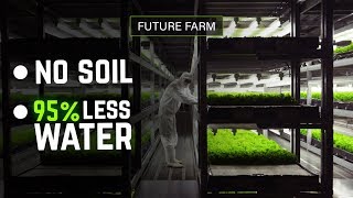 This Future Farm Uses No Soil and 95% Less Water