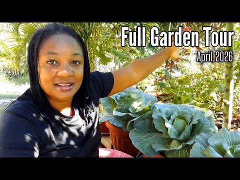 April 2026 Container Permaculture: Full Garden Tour