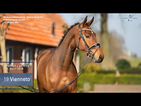 Special Auction Reesink Horses   Lot 19 Vienneto Wallach  v. Vitalis - Fürst Romancier