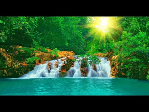 CLARITY - Jean - Marc Staehle