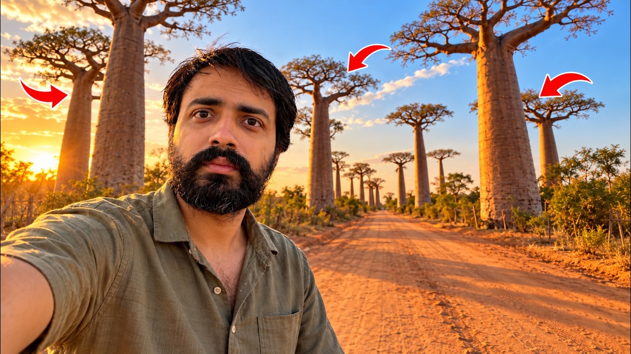 Madagascar’s Strange & Mysterious Baobab Forest 🇲🇬