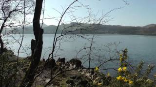 preview picture of video 'Dodgson Wood, Coniston, Cumbria'