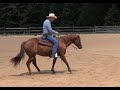 Steering Your Horse in the Back Up (Episode 174) - Herm Gailey:  A Lifetime with Horses