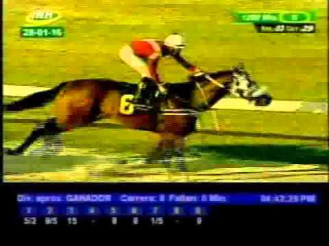 Resumen Jueves, 28 de Enero de 2016 -  Valencia