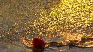 TE ME OLVIDAS          JOSÉ JOSÉ