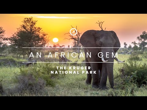 An African Gem - The Kruger National Park