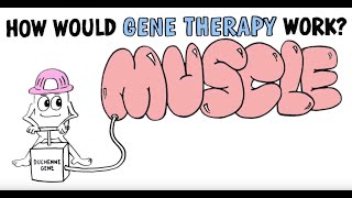 Gene Therapy & Duchenne Muscular Dystrophy