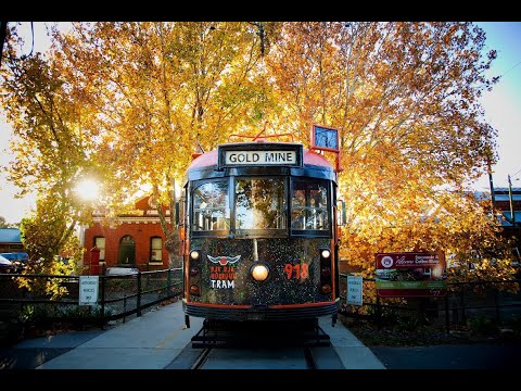 Bendigo Visitor Centre Tours