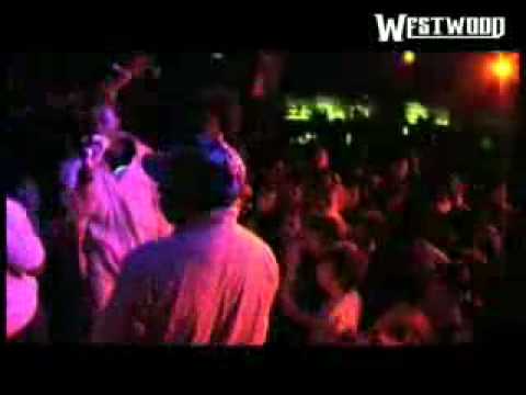 Westwood - Nu Brand Flexx