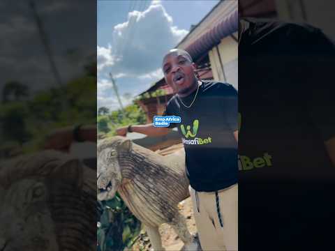 OSCA OSCA HII SIMBA HAIWEZI KUSHINDA KIKOMBE CHOCHOTE | NAISHIKA MASHARUBU NA HAWEZI NIFANYA LOLOTE!