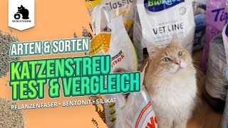 🔥Katzenstreu Test/Vergleich | Testsieger - beste Katzenstreu ist eine Klumpstreu? Unsere Erfahrungen